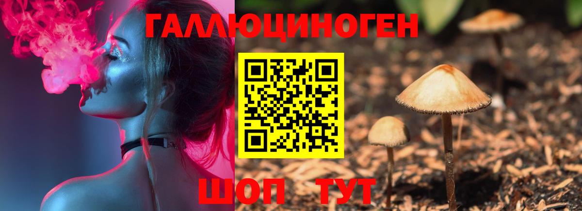 Заводоуковск  Псилоцибиновые грибы ЛСД  купить наркоту  Галлюциногенные грибы прущие грибы  Вход с VPN 